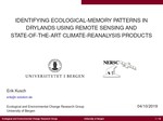 Identifying Ecological Memory Patterns in Drylands Using Remote Sensing and State-of-the-art Climate Reanalysis Products