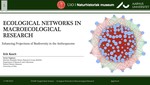 Integrating Ecological Networks in Macroecological Research - Enhancing Projections of Biodiversity in the Anthropocene